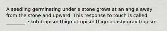 A seedling germinating under a stone grows at an angle away from the stone and upward. This response to touch is called ________. skototropism thigmotropism thigmonasty gravitropism