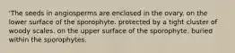 'The seeds in angiosperms are enclosed in the ovary. on the lower surface of the sporophyte. protected by a tight cluster of woody scales. on the upper surface of the sporophyte. buried within the sporophytes.