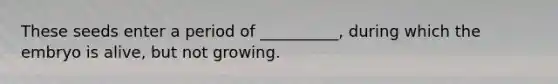 These seeds enter a period of __________, during which the embryo is alive, but not growing.
