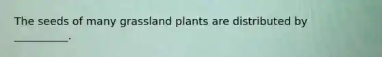 The seeds of many grassland plants are distributed by __________.