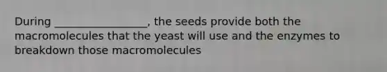 During _________________, the seeds provide both the macromolecules that the yeast will use and the enzymes to breakdown those macromolecules