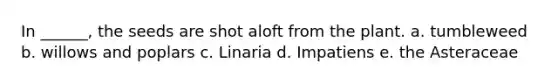 In ______, the seeds are shot aloft from the plant. a. tumbleweed b. willows and poplars c. Linaria d. Impatiens e. the Asteraceae