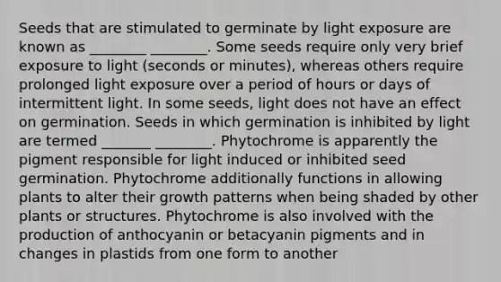 Seeds that are stimulated to germinate by light exposure are known as ________ ________. Some seeds require only very brief exposure to light (seconds or minutes), whereas others require prolonged light exposure over a period of hours or days of intermittent light. In some seeds, light does not have an effect on germination. Seeds in which germination is inhibited by light are termed _______ ________. Phytochrome is apparently the pigment responsible for light induced or inhibited seed germination. Phytochrome additionally functions in allowing plants to alter their growth patterns when being shaded by other plants or structures. Phytochrome is also involved with the production of anthocyanin or betacyanin pigments and in changes in plastids from one form to another