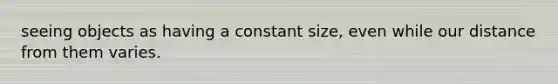 seeing objects as having a constant size, even while our distance from them varies.