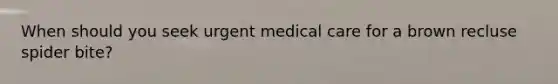 When should you seek urgent medical care for a brown recluse spider bite?