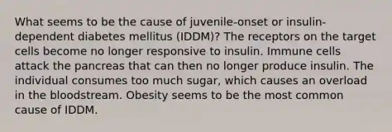 What seems to be the cause of juvenile-onset or insulin-dependent diabetes mellitus (IDDM)? The receptors on the target cells become no longer responsive to insulin. Immune cells attack the pancreas that can then no longer produce insulin. The individual consumes too much sugar, which causes an overload in the bloodstream. Obesity seems to be the most common cause of IDDM.