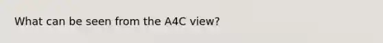 What can be seen from the A4C view?