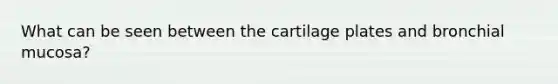 What can be seen between the cartilage plates and bronchial mucosa?