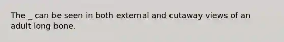 The _ can be seen in both external and cutaway views of an adult long bone.