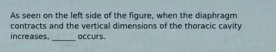 As seen on the left side of the figure, when the diaphragm contracts and the vertical dimensions of the thoracic cavity increases, ______ occurs.