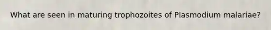 What are seen in maturing trophozoites of Plasmodium malariae?