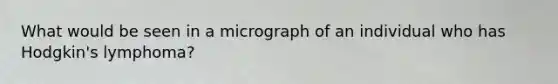 What would be seen in a micrograph of an individual who has Hodgkin's lymphoma?