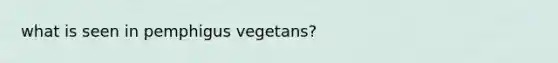 what is seen in pemphigus vegetans?