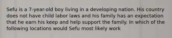 Sefu is a 7-year-old boy living in a developing nation. His country does not have child labor laws and his family has an expectation that he earn his keep and help support the family. In which of the following locations would Sefu most likely work