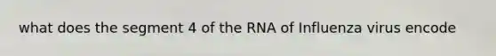 what does the segment 4 of the RNA of Influenza virus encode