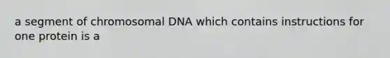 a segment of chromosomal DNA which contains instructions for one protein is a