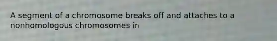 A segment of a chromosome breaks off and attaches to a nonhomologous chromosomes in