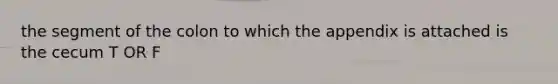the segment of the colon to which the appendix is attached is the cecum T OR F