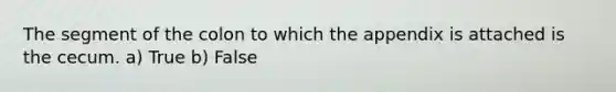 The segment of the colon to which the appendix is attached is the cecum. a) True b) False