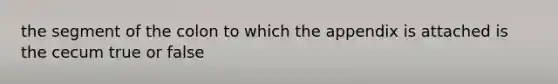 the segment of the colon to which the appendix is attached is the cecum true or false