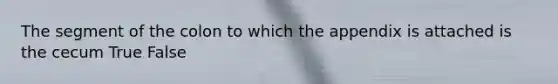 The segment of the colon to which the appendix is attached is the cecum True False