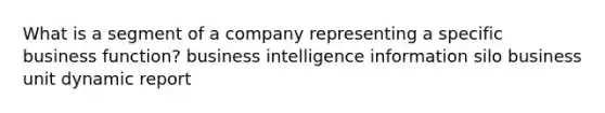 What is a segment of a company representing a specific business function? business intelligence information silo business unit dynamic report