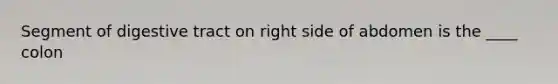 Segment of digestive tract on right side of abdomen is the ____ colon