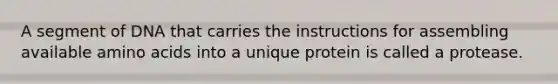 A segment of DNA that carries the instructions for assembling available <a href='https://www.questionai.com/knowledge/k9gb720LCl-amino-acids' class='anchor-knowledge'>amino acids</a> into a unique protein is called a protease.