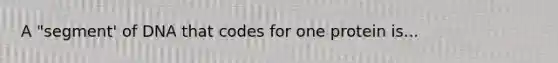 A "segment' of DNA that codes for one protein is...