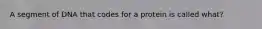 A segment of DNA that codes for a protein is called what?