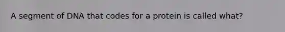 A segment of DNA that codes for a protein is called what?