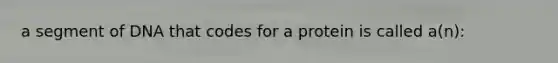 a segment of DNA that codes for a protein is called a(n):