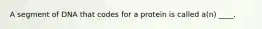 A segment of DNA that codes for a protein is called a(n) ____.