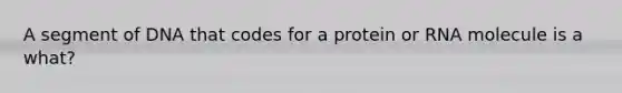 A segment of DNA that codes for a protein or RNA molecule is a what?