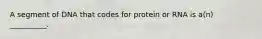 A segment of DNA that codes for protein or RNA is a(n) __________.