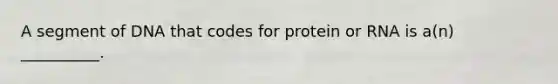 A segment of DNA that codes for protein or RNA is a(n) __________.