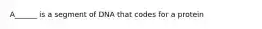 A______ is a segment of DNA that codes for a protein