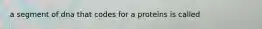 a segment of dna that codes for a proteins is called