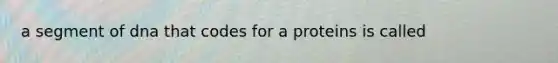 a segment of dna that codes for a proteins is called