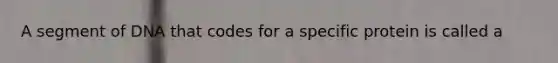 A segment of DNA that codes for a specific protein is called a