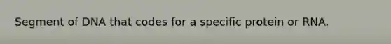 Segment of DNA that codes for a specific protein or RNA.