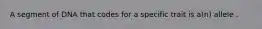 A segment of DNA that codes for a specific trait is a(n) allele .