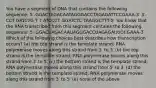 You have a segment of DNA that contains the following sequence: 5′-GGACTAGACAATAGGGACCTAGAGATTCCGAAA-3′ 3′-CCT GATCTG T T ATCCCT GGATCTC TAAGGCTTT-5′ You know that the RNA transcribed from this segment contains the following sequence: 5′-GGACUAGACAAUAGGGACCUAGAGAUUCCGAAA-3′ Which of the following choices best describes how transcription occurs? (a) the top strand is the template strand; RNA polymerase moves along this strand from 5′ to 3′ (b) the top strand is the template strand; RNA polymerase moves along this strand from 3′ to 5′ (c) the bottom strand is the template strand; RNA polymerase moves along this strand from 5′ to 3′ (d) the bottom strand is the template strand; RNA polymerase moves along this strand from 3′ to 5′ (e) none of the above