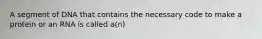 A segment of DNA that contains the necessary code to make a protein or an RNA is called a(n)