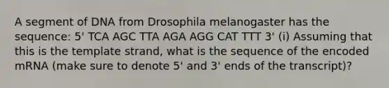 A segment of DNA from Drosophila melanogaster has the sequence: 5' TCA AGC TTA AGA AGG CAT TTT 3' (i) Assuming that this is the template strand, what is the sequence of the encoded mRNA (make sure to denote 5' and 3' ends of the transcript)?