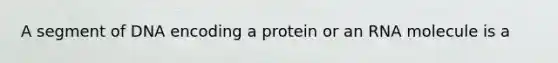 A segment of DNA encoding a protein or an RNA molecule is a