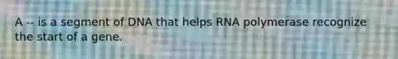 A -- is a segment of DNA that helps RNA polymerase recognize the start of a gene.