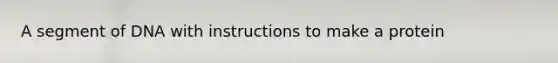 A segment of DNA with instructions to make a protein