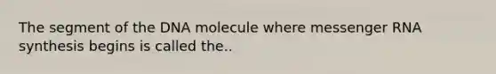 The segment of the DNA molecule where messenger RNA synthesis begins is called the..