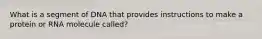 What is a segment of DNA that provides instructions to make a protein or RNA molecule called?